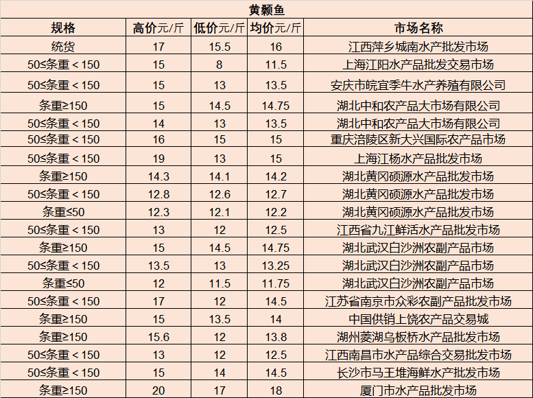 最新国家发展动态，创新与繁荣的同步共舞之路