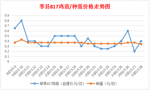 今日鸡苗价格更新，深度解析817鸡苗市场走势