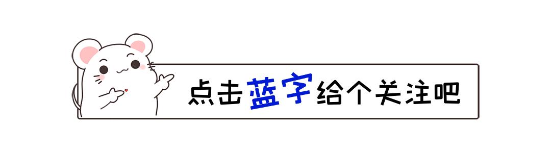 上证指数最新动态，市场走势深度分析与展望