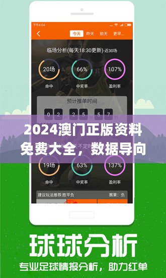 2024新澳正版免费资料,高效说明解析_苹果版96.920