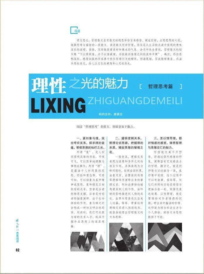 新澳门精准资料大全管家婆料,高效性实施计划解析_XR82.563