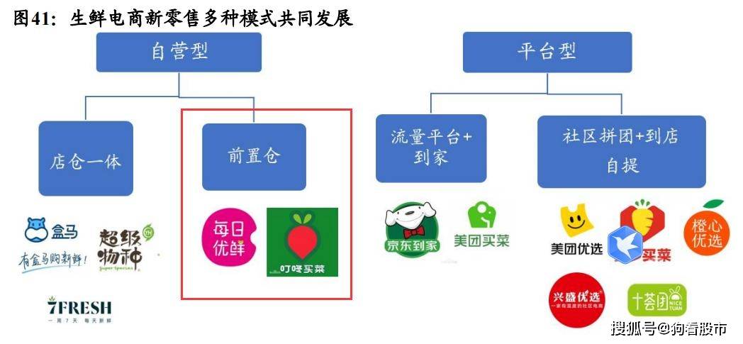 新奥门资料精准网站,科学分析解释定义_模拟版9.242