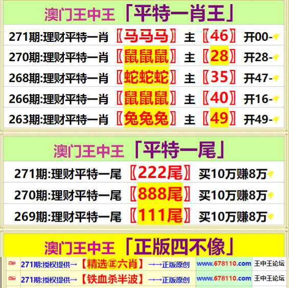 王中王精准资料期期中澳门高手,持续设计解析方案_vShop27.609