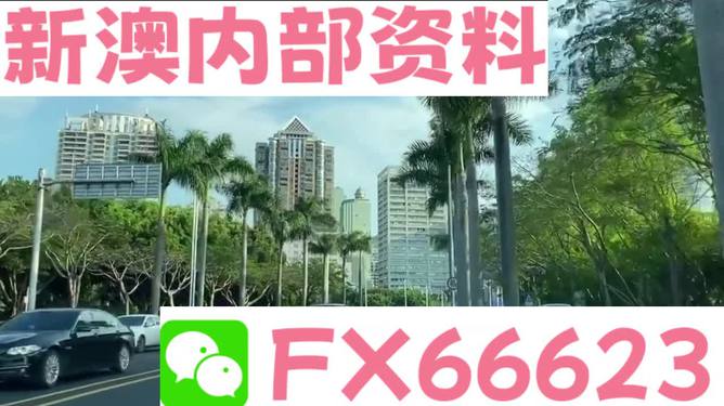 新澳精准资料免费提供,实地考察数据应用_黄金版4.246