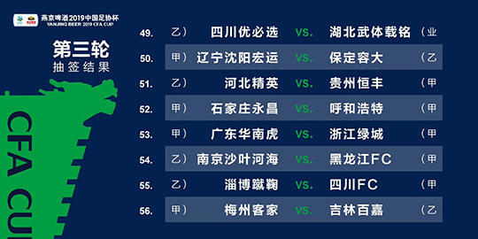 2024新澳精准资料免费提供下载,适用性执行方案_终极版68.695