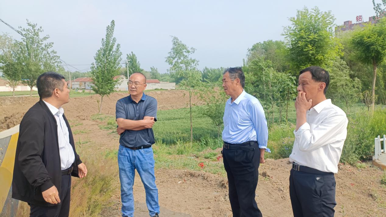 德平镇最新项目——地区发展的强大引擎驱动力