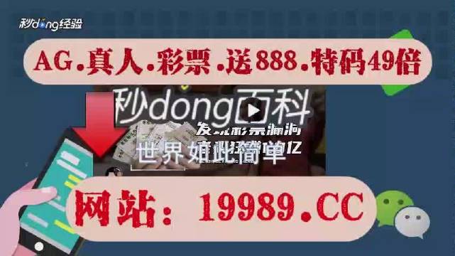 2024澳门码今晚开奖记录,实证说明解析_专属款28.162