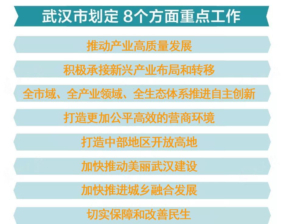 2024年正版资料免费大全亮点,实地执行考察方案_手游版29.412