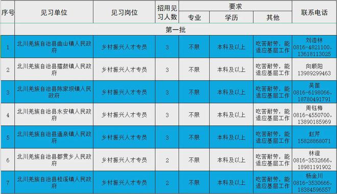 2024年资料免费大全,实践策略实施解析_FHD57.209