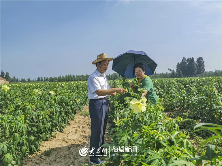 李屯乡新项目，引领乡村发展的全新动力源泉