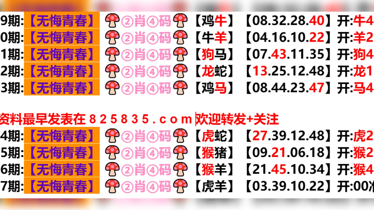 新奥门六开奖结果2024开奖记录,动态解析词汇_界面版76.319