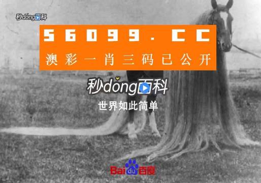 澳门一肖一码一必中一肖同舟前进,高效策略设计解析_PalmOS41.709