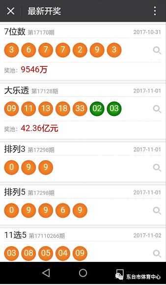 2024澳门天天开彩开奖结果,实地验证设计方案_限定版95.749