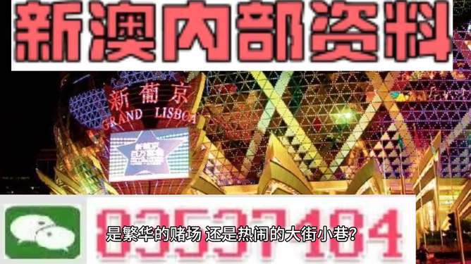 新澳门精准资料大全管家婆料,经典解释定义_FHD版48.530