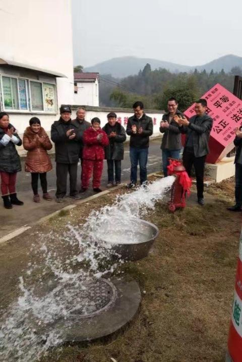 三都水族自治县水利局最新项目进展报告，水利工程进展与成果概览