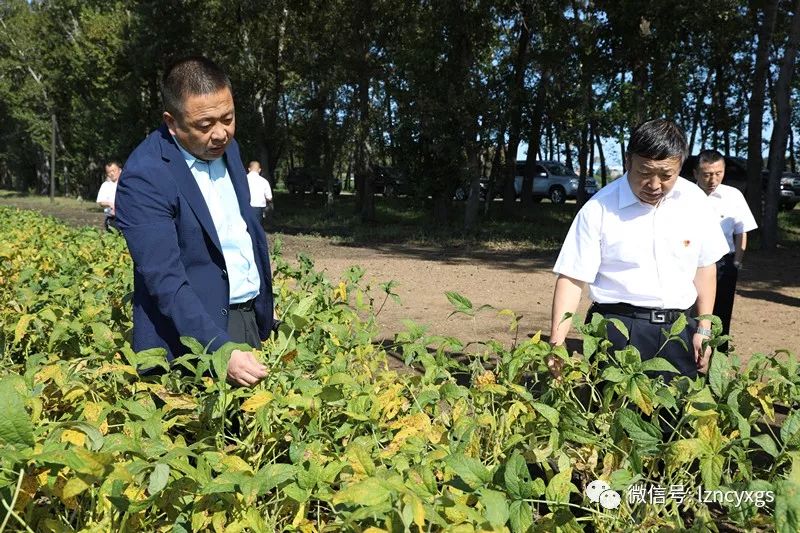 二龙山农场最新动态报道