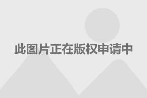 澳门六开奖结果2024开奖记录查询表,正确解答落实_YE版48.375