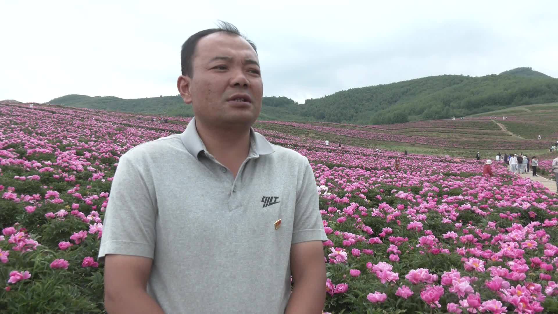 芍药山乡交通新篇章，迈向现代化交通的里程碑