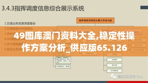 49图库-资料,功能性操作方案制定_win305.210