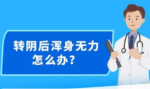 新澳精准资料大全免费,理论依据解释定义_精简版84.676