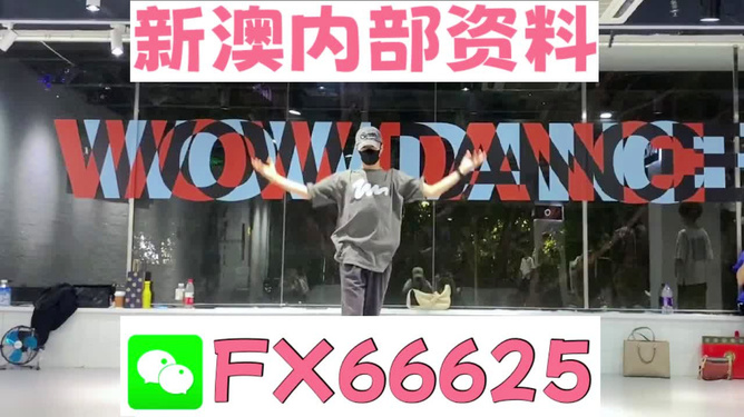 管家婆一码一肖正确,精细化策略解析_FHD版13.337