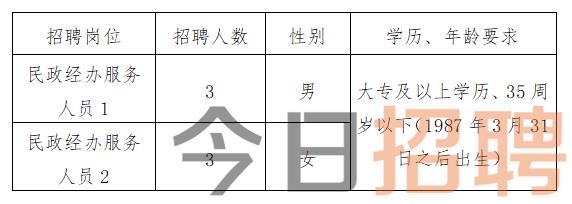 祁县民政局最新招聘信息详解