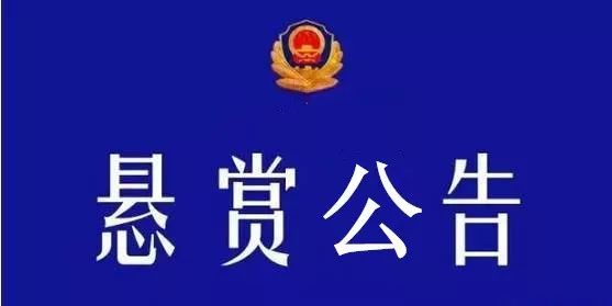 德城区公安局人事任命推动警务工作迈上新台阶