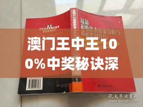 新澳门王中王100%期期中,定制化执行方案分析_The51.450