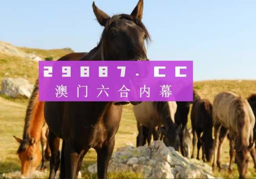 澳门管家婆一肖一码一中一开,权威分析说明_试用版19.807