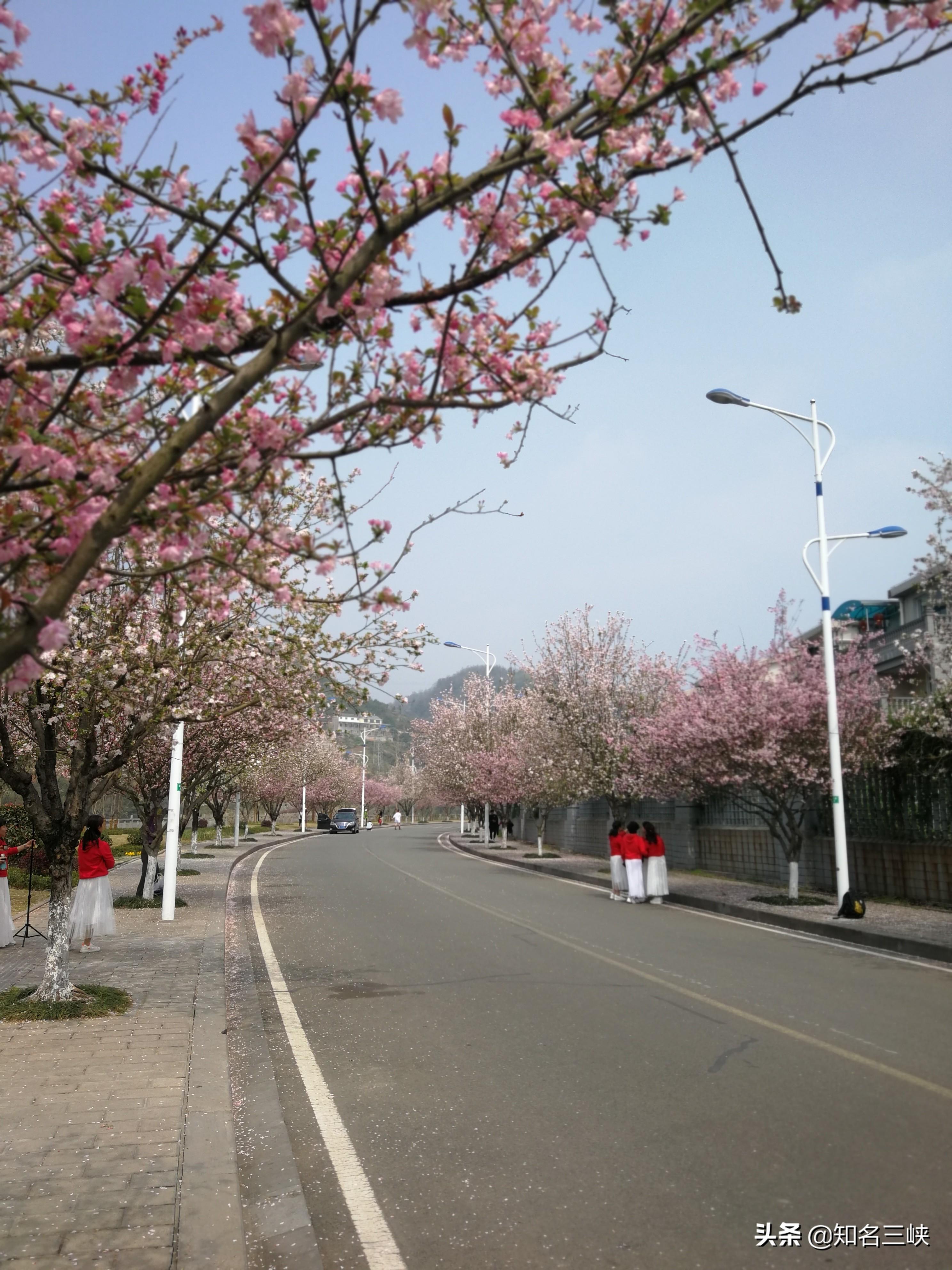 塔城市数据和政务服务局发展规划探讨与展望