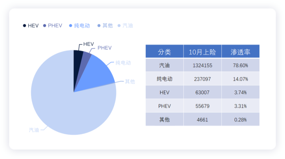 2024年12月19日 第41页