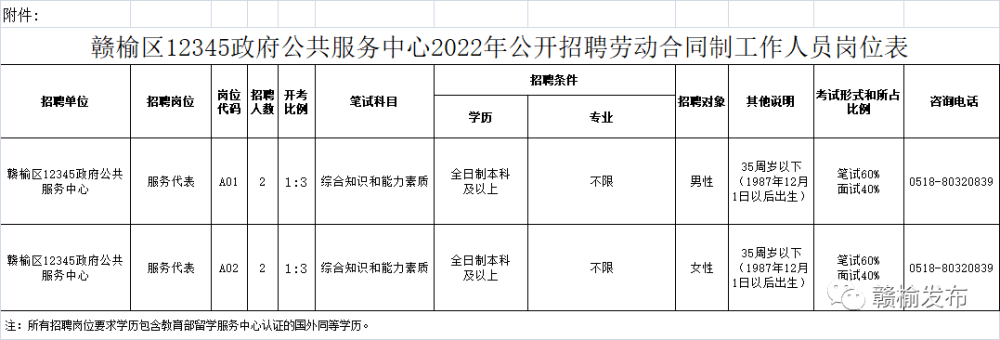 赣榆县数据和政务服务局最新招聘信息全面解析