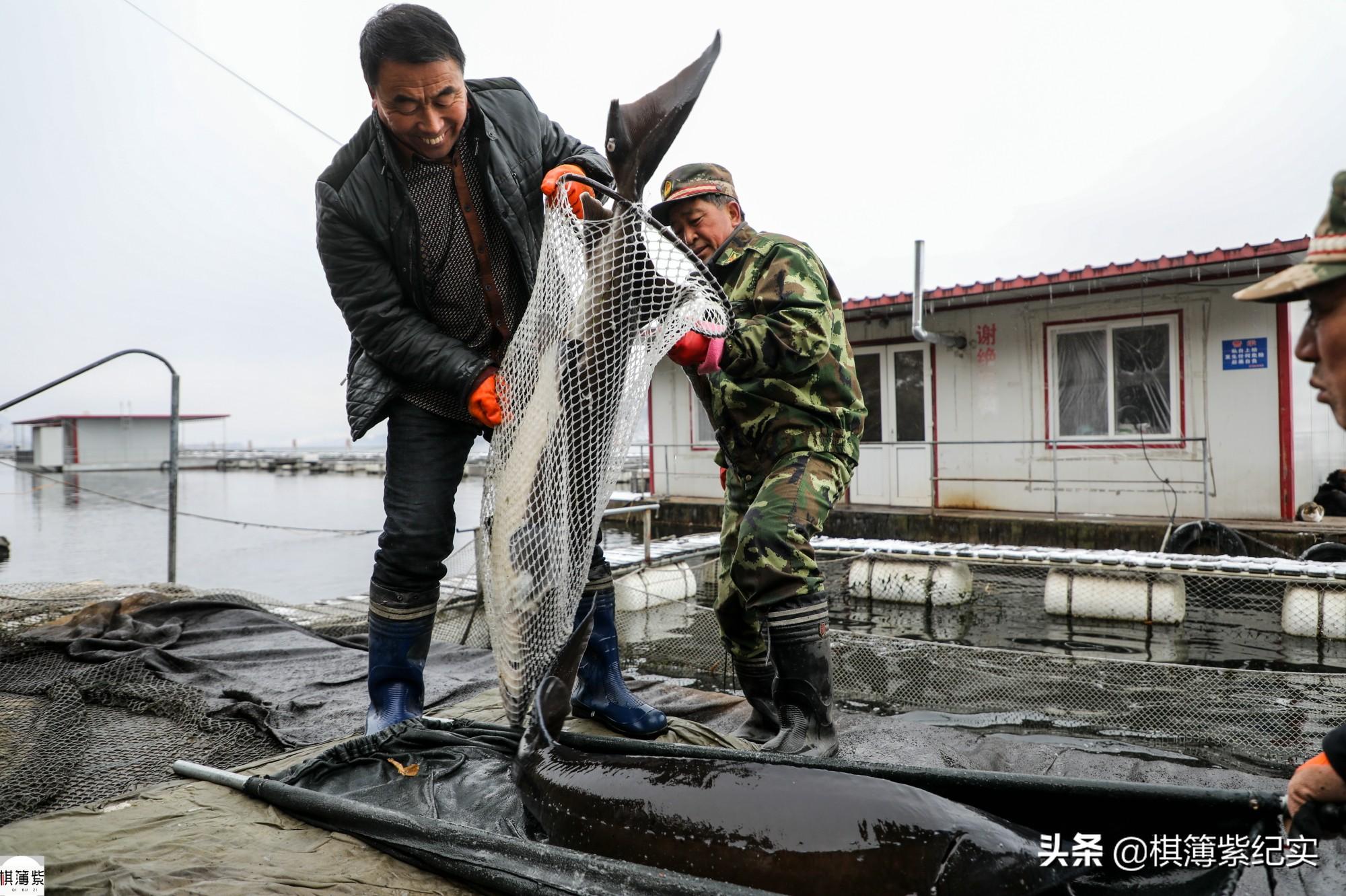 抚远县特殊教育事业单位招聘信息与动态分析速递