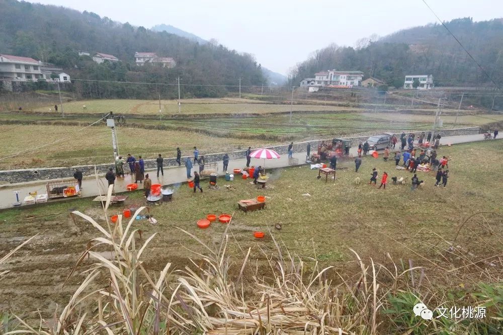 理公港镇新项目引领地区发展新星，开启新篇章！