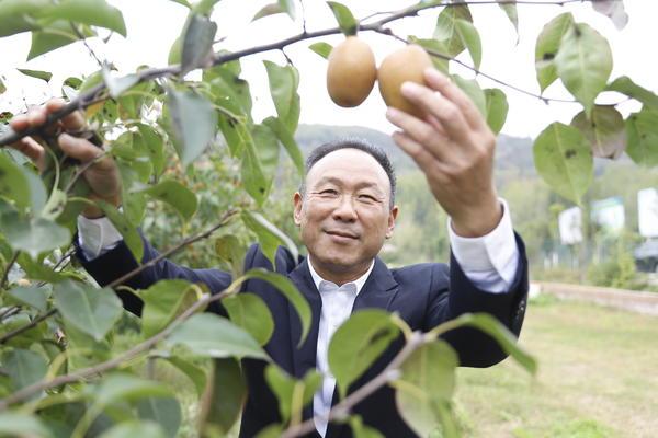 洛宁县退役军人事务局领导介绍更新