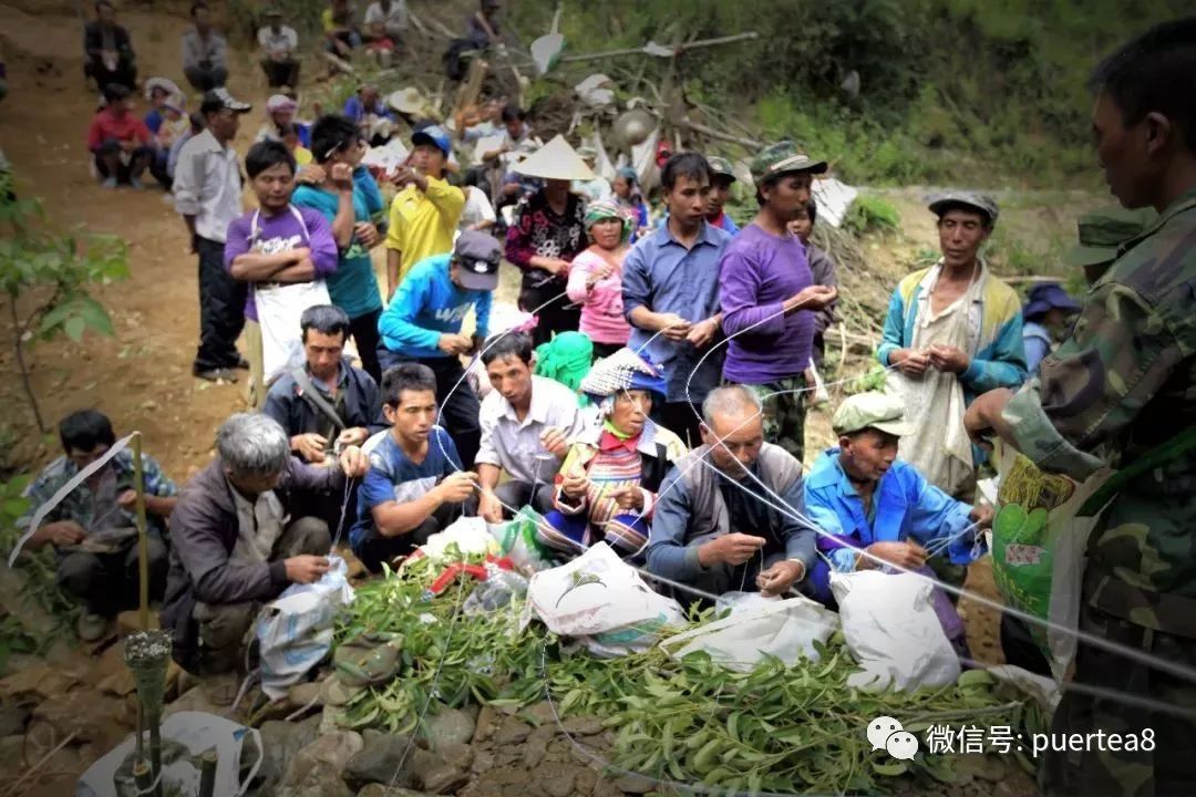 平村彝族傣族乡鹿城镇领导团队，地区发展的核心力量新篇章